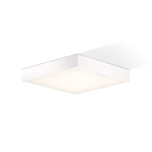CUT 30 N LED Wand- und Deckenleuchte, Farbe: weiß