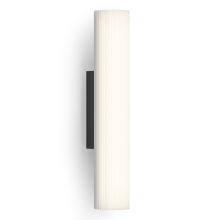 Ray LED Wandleuchte, Farbe: schwarz